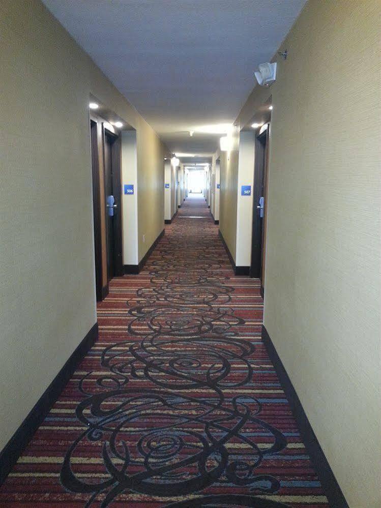 Holiday Inn Express Fredericksburg - Southpoint By Ihg Extérieur photo